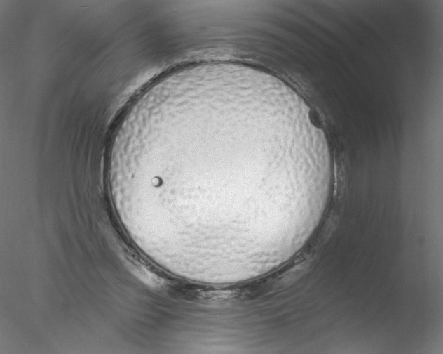 X0000076420301200611031820