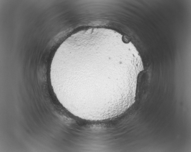 X0000076420303200611031820