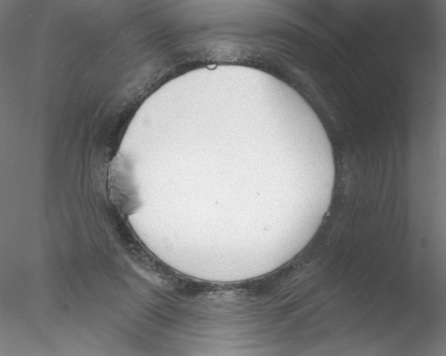 X0000076420307200611031820