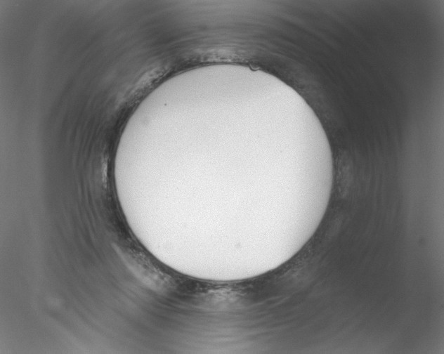 X0000076420310200611031820