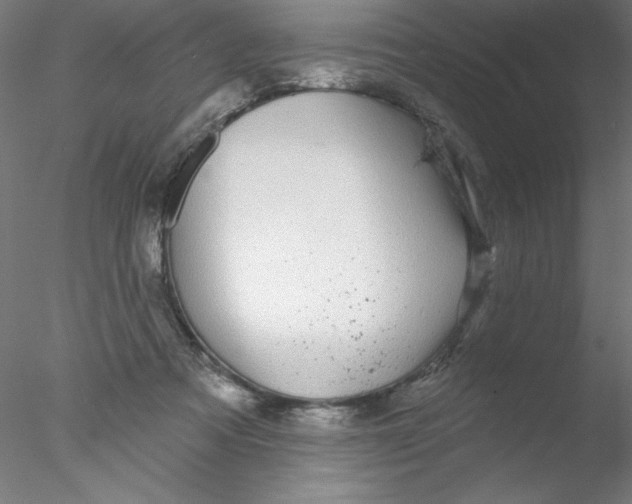 X0000076420313200611031820