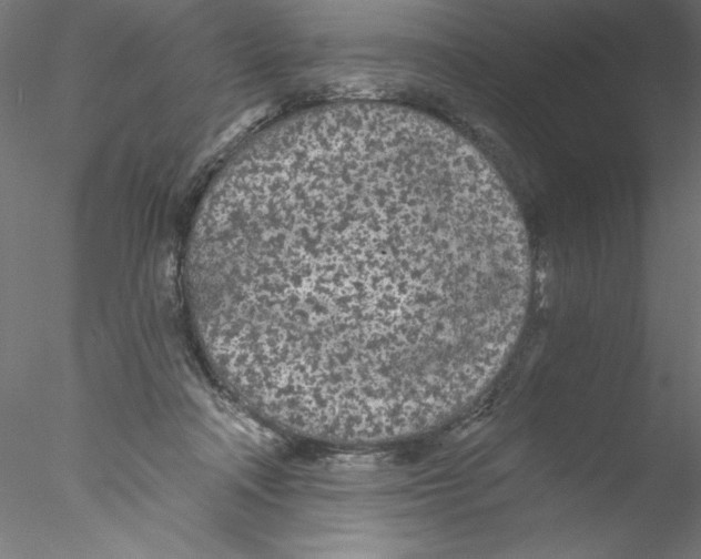 X0000076420314200611031820