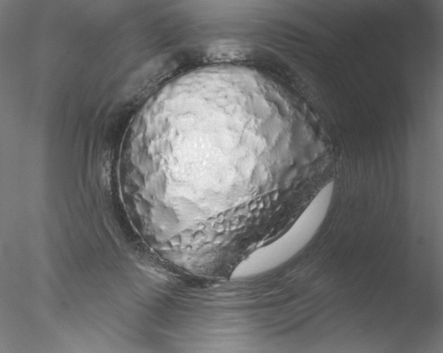 X0000076420315200611031820