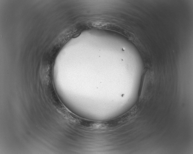 X0000076420319200611031820