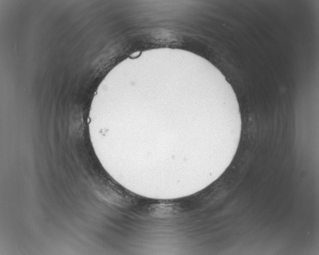 X0000076420320200611031820