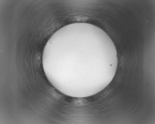 X0000076420321200611031820