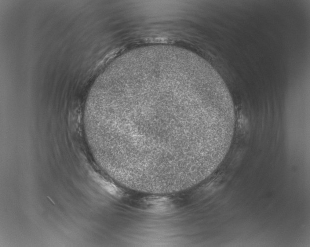 X0000076420322200611031820