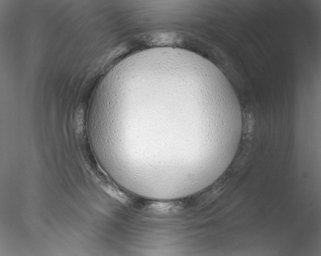 X0000076420326200611031820