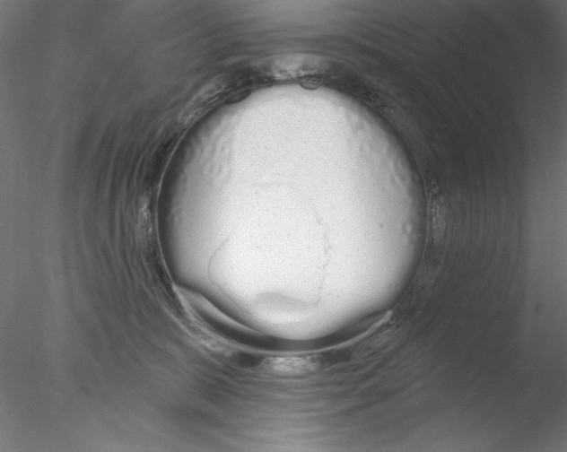 X0000076420327200611031820