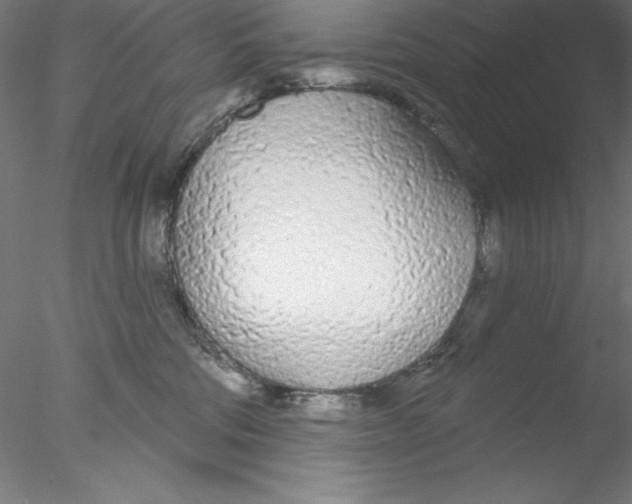 X0000076420330200611031820