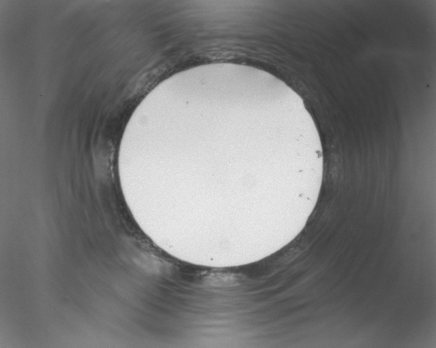 X0000076420332200611031820