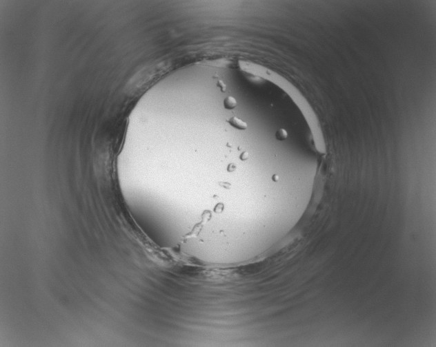 X0000076420333200611031820