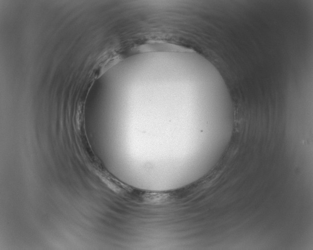 X0000076420334200611031820