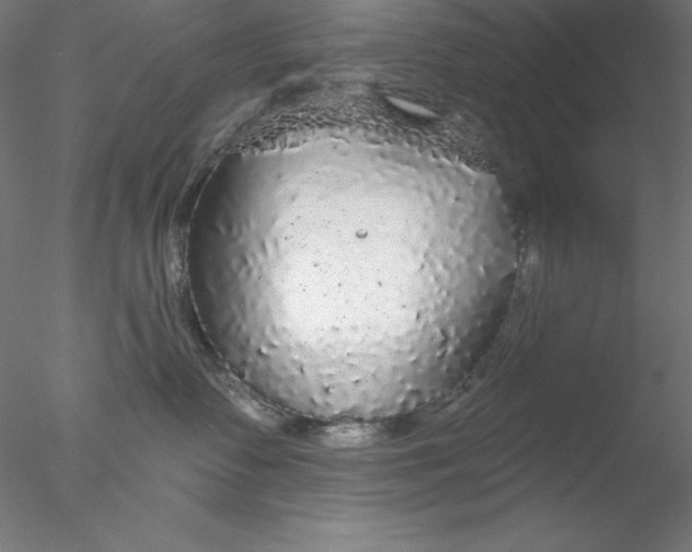 X0000076420335200611031820