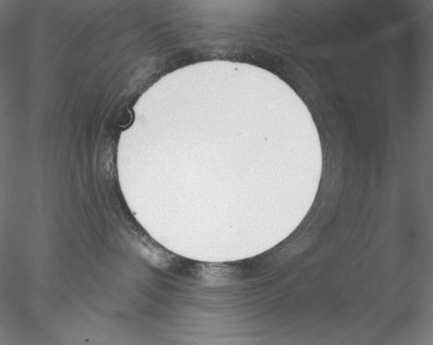 X0000076420336200611031820