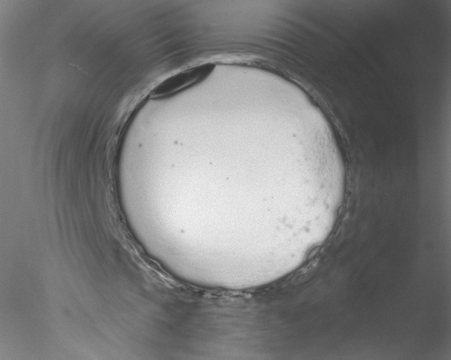 X0000076420337200611031819