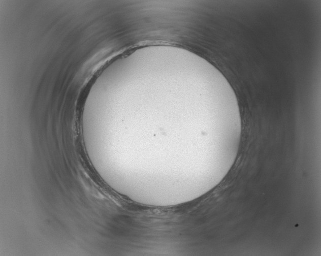 X0000076420338200611031819