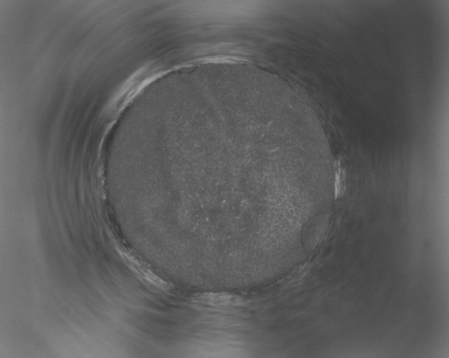 X0000076420339200611031819