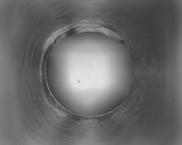 X0000076420340200611031819