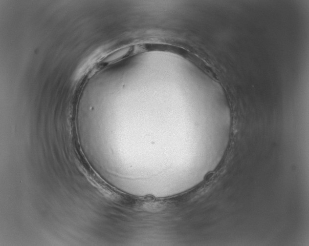 X0000076420341200611031819