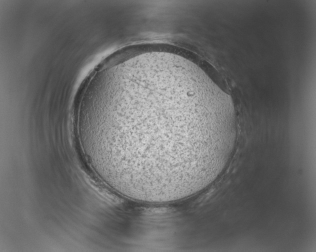 X0000076420342200611031819