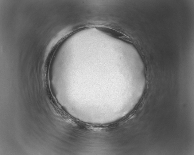 X0000076420343200611031819