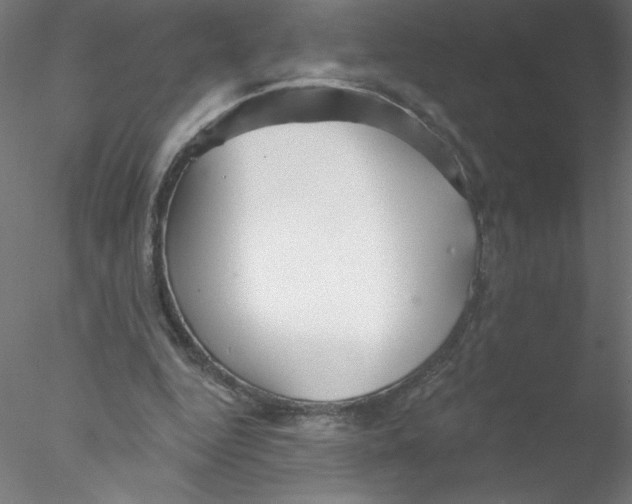 X0000076420344200611031819