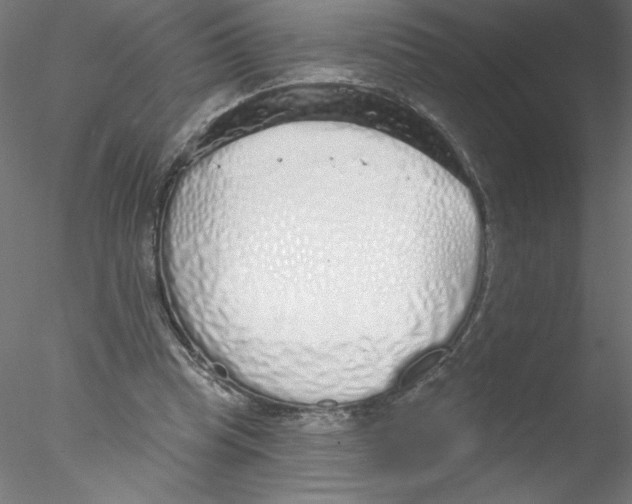 X0000076420345200611031819