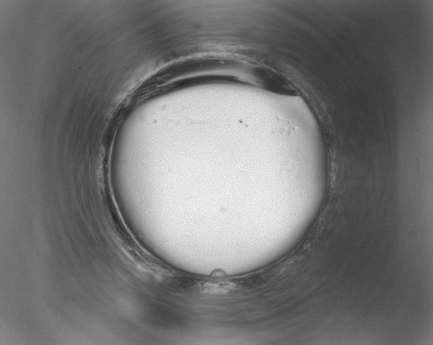 X0000076420346200611031819