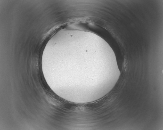 X0000076420348200611031819