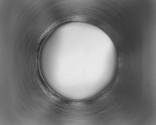 X0000076420349200611031819