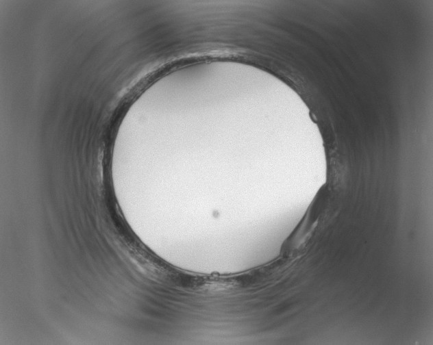 X0000076420350200611031819