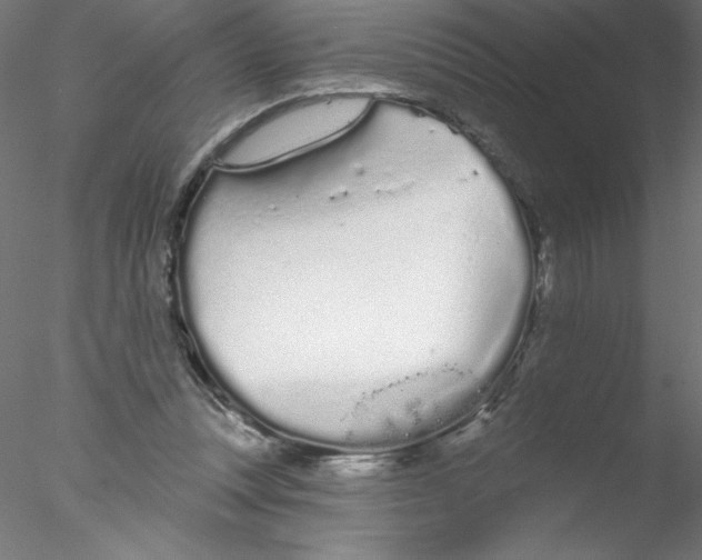 X0000076420351200611031819