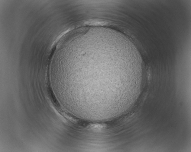 X0000076420352200611031819