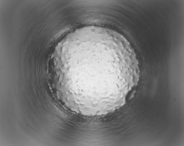 X0000076420353200611031819