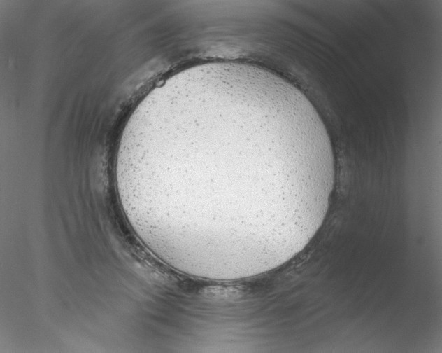 X0000076420354200611031819