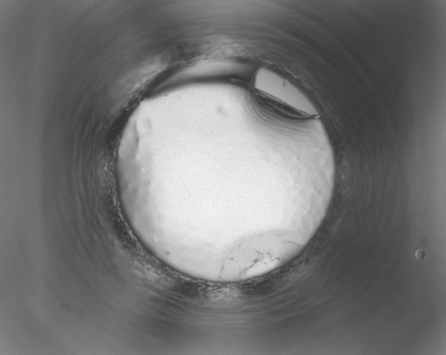 X0000076420355200611031819