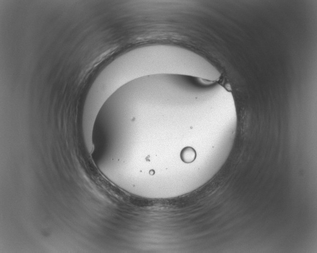 X0000076420356200611031819