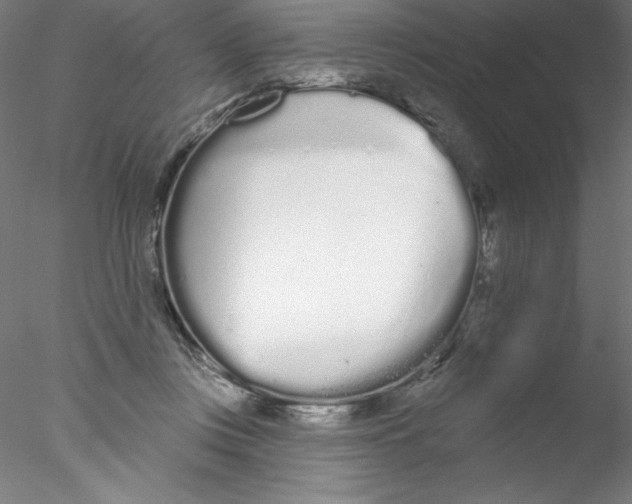 X0000076420359200611031819