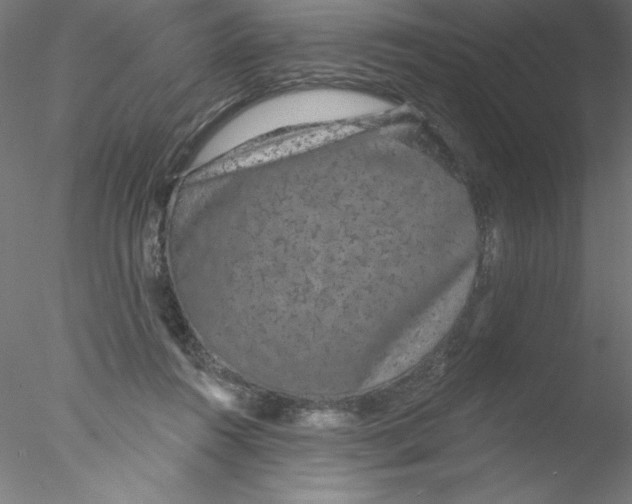 X0000076420360200611031819