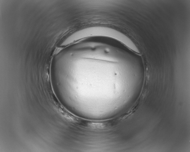 X0000076420361200611031819