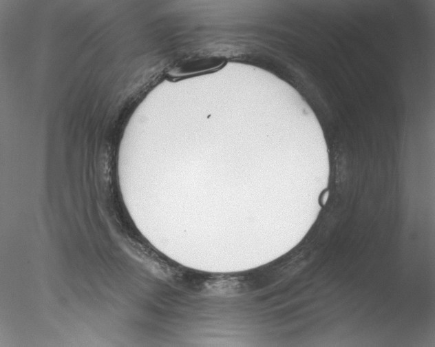 X0000076420362200611031819