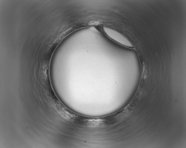 X0000076420363200611031819