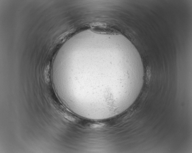 X0000076420364200611031819