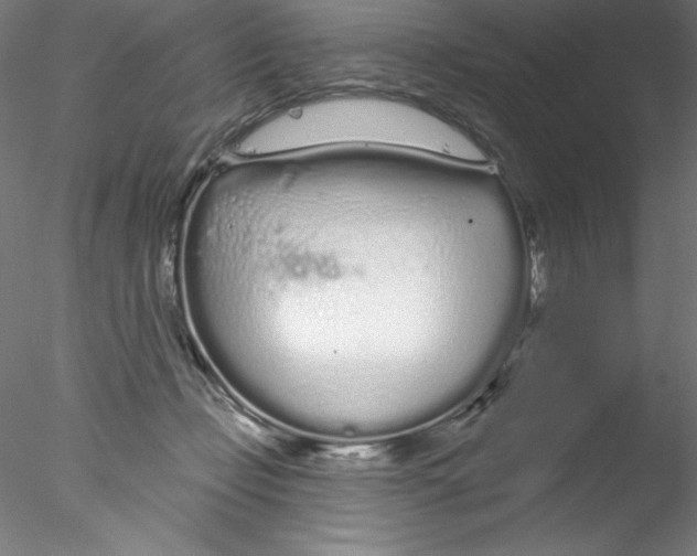 X0000076420365200611031819