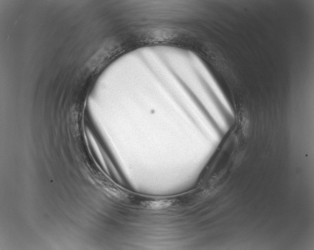 X0000076420366200611031819