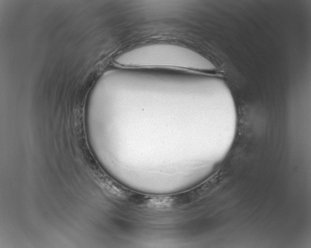 X0000076420369200611031820