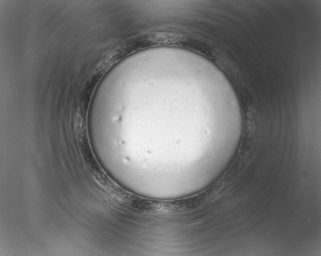 X0000076420371200611031820