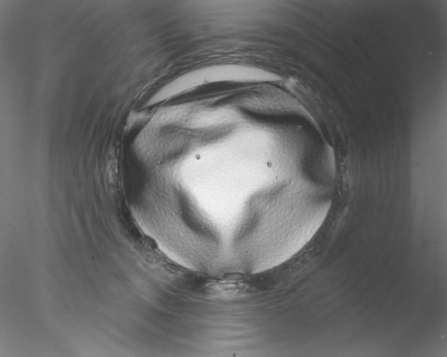 X0000076420372200611031820