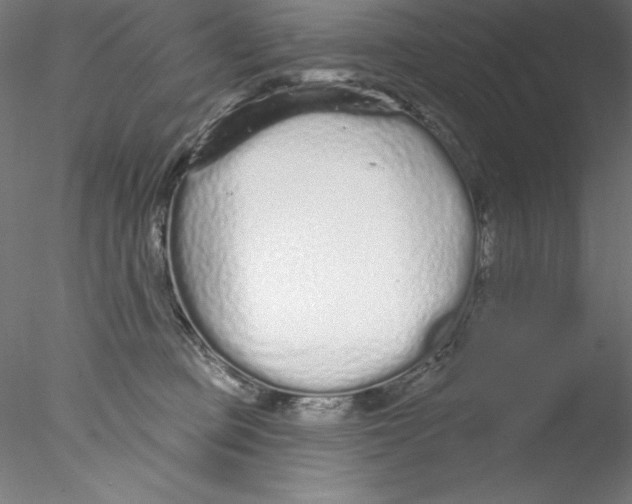 X0000076420373200611031820